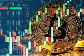 The Future of Investing Exploring Crypto Algo Trading Platform The Future of Investing Exploring Crypto Algo Trading Platform